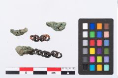 Foto von Bronzekettchen (NHMW-PRAE-078106)